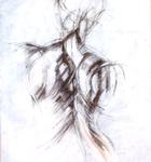 The Nape 11x14inch       SOLD