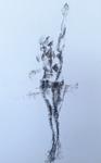 Latin American Dancer  4 , grey and black pastels , 20"x28"   SOLD